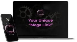 OLSP System Mega Link